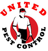 United Pest Control